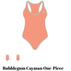 Chooksla Bubblegum Cayman one piece swimsuit.